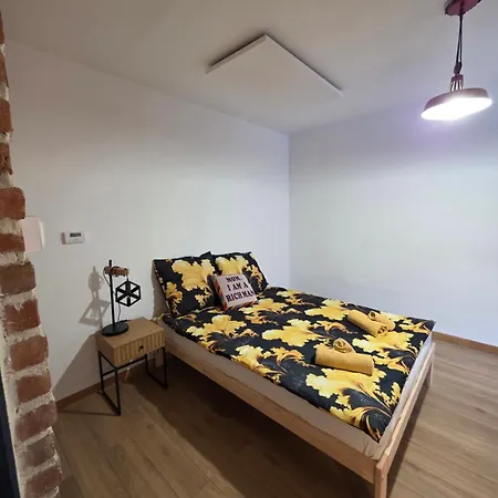 Klimatyczny شقة Piece (Silesia)